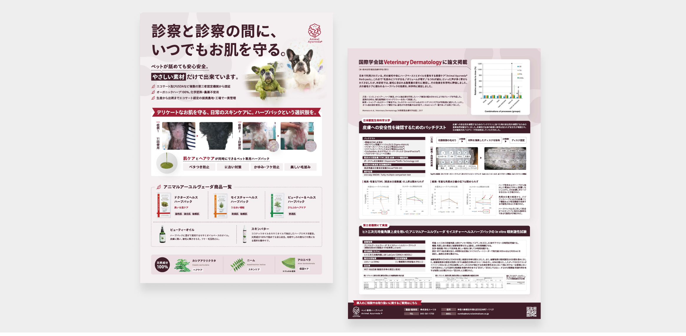 日本獣医皮膚科学会用 フライヤー制作